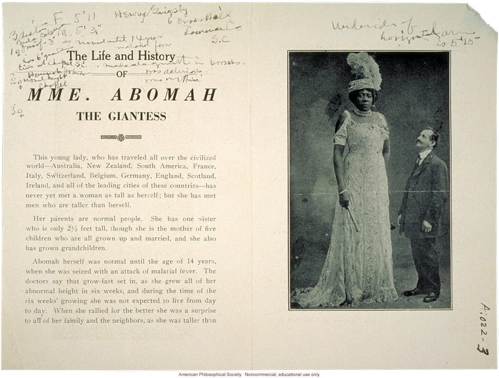 The Life and History OF MME. ABOMAH THE GIANTESS This young lady, who has traveled all over the civilized world - Australia, New Zealand, South America, France, Italy, Switzerland, Belgium, Germany, England, Scotland, Ireland, and all of the leading cities of these countries - has never yet me a woman as tall as herself; but she has met men who are taller than herself. Her parents are normal people. She has one sister who is only two and a half feet tall, though she is the mother of five children who are all grown up and married, and she also has grown grandchildren. Abomah herself was normal until the age of fourteen years, when she was seized with an attack of malarial fever. The doctors say that grow-fast set in, as she grew all of her abnormal height in six weeks, and during the time of the six weeks' growing she was not expected to live from day to day. When she rallied for the better she was a surprise to all of her family and the neighbors, as she was taller than...