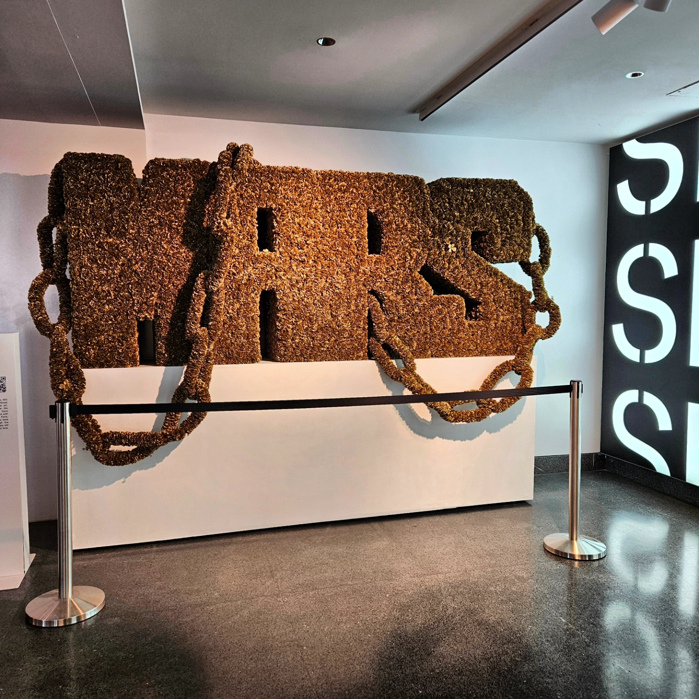 NYC, DAY 5 — The Spike Thing | THE AMERICAN BLACKSTORY